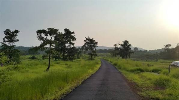 Talkat–Koljhar Farm Plots, Sindhudurg, Maharashtra