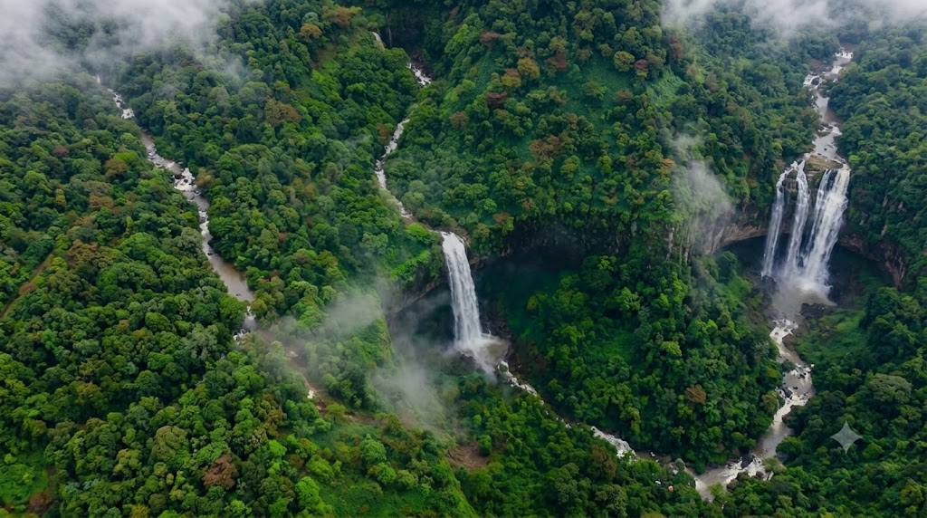 Aerial view of waterfalls flowing through the forested Tilari landscape